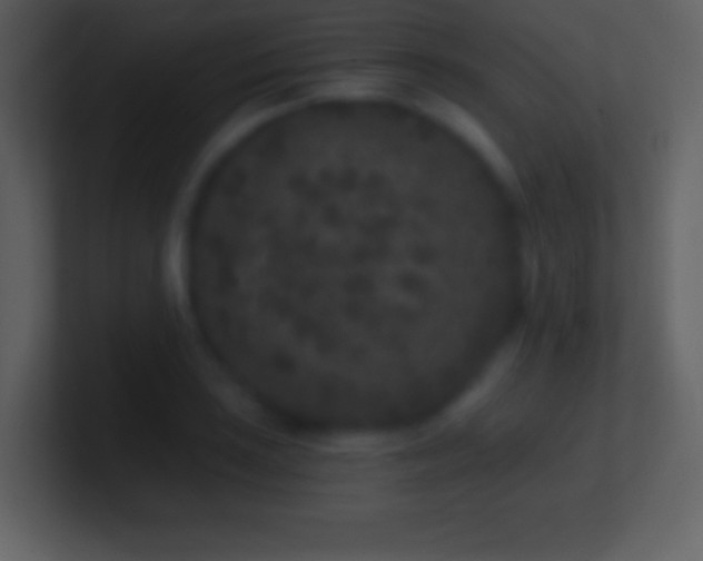 X0000101431035200807071337
