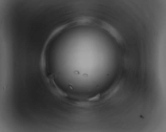 X0000101431036200807071337