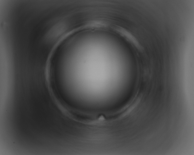 X0000101431038200807071337