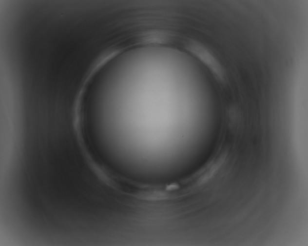 X0000101431042200807071337