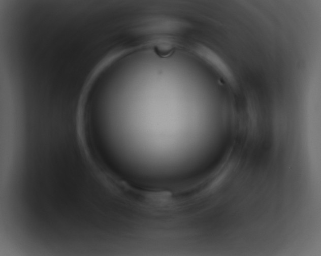 X0000101431043200807071337