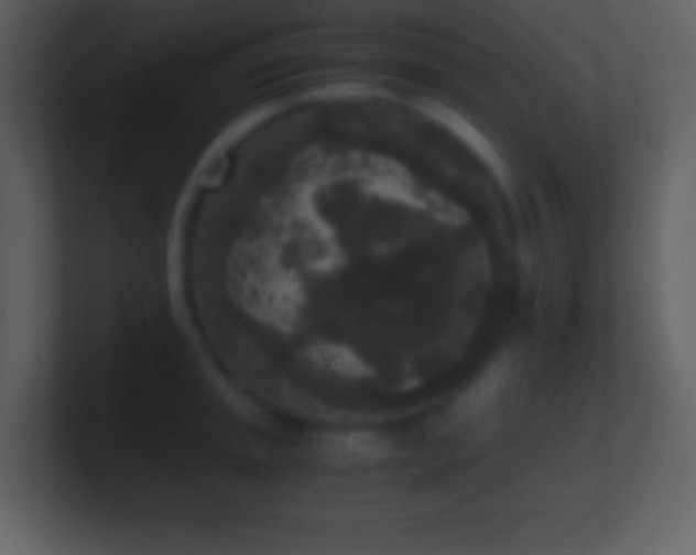 X0000101431045200807071337