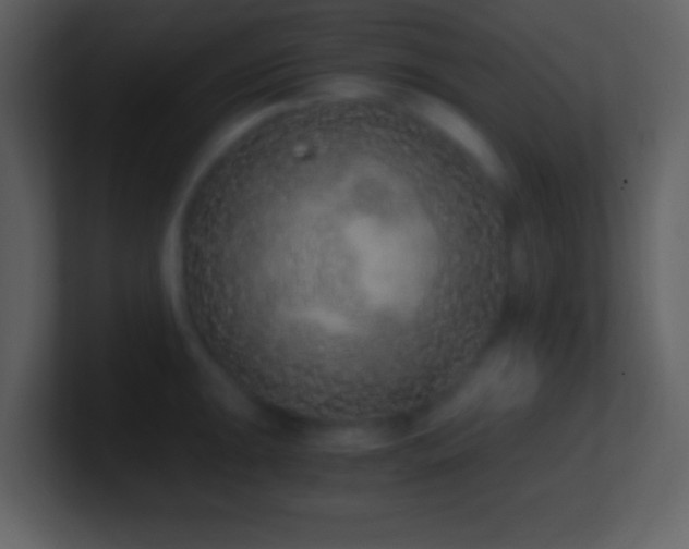 X0000101431047200807071337