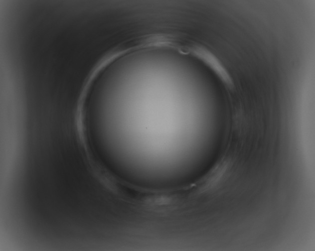 X0000101431051200807071338