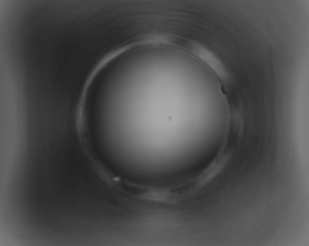 X0000101431052200807071338