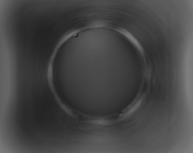X0000101431053200807071338