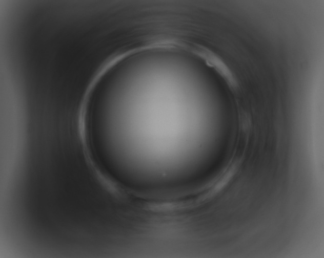 X0000101431054200807071338