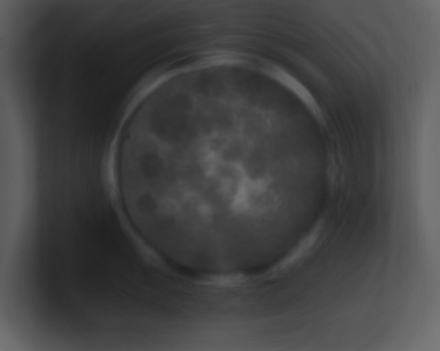 X0000101431055200807071338