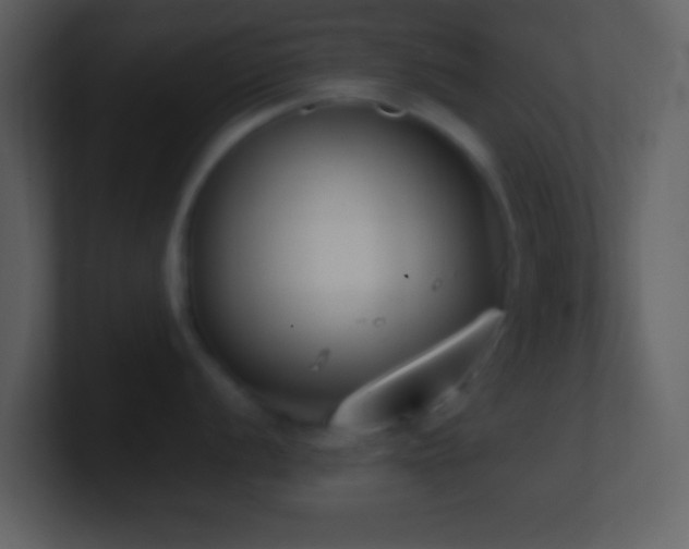 X0000101431056200807071338