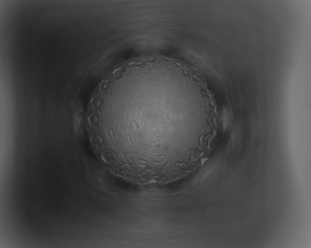 X0000101431059200807071337