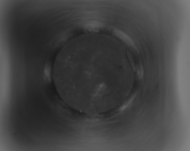 X0000101431060200807071337