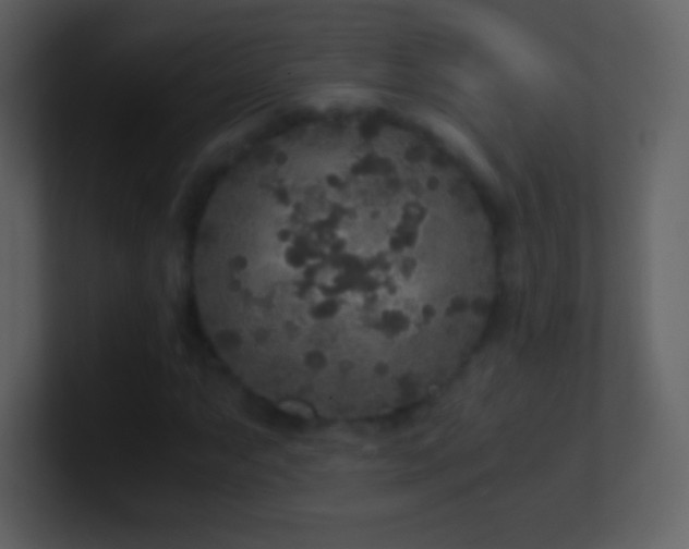 X0000101431063200807071337