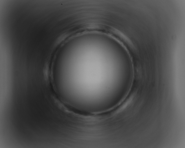 X0000101431065200807071337