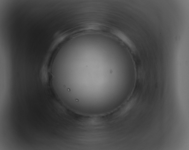 X0000101431067200807071337