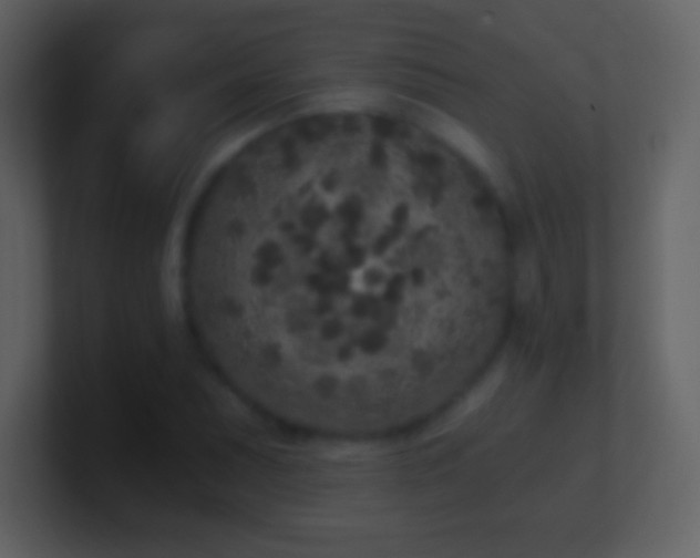 X0000101431071200807071337