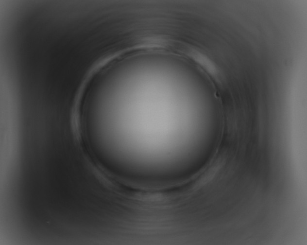 X0000101431072200807071337
