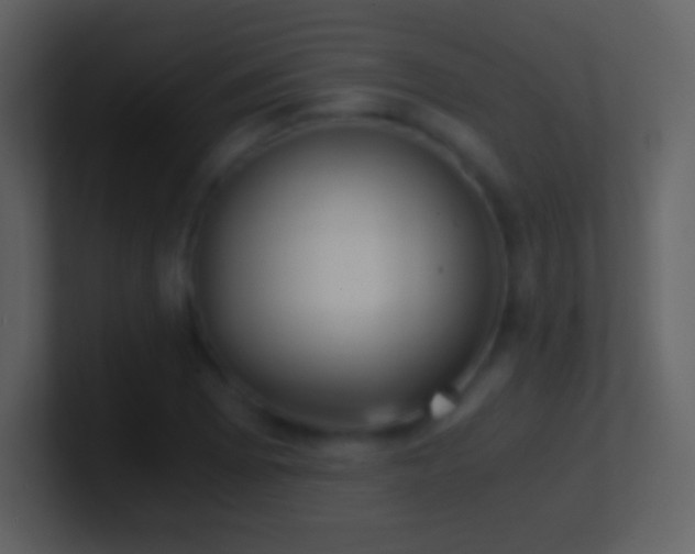 X0000101431073200807071337