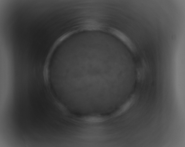 X0000101431074200807071337