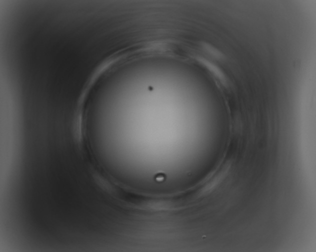 X0000101431075200807071337