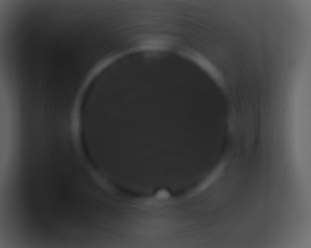 X0000101431077200807071337