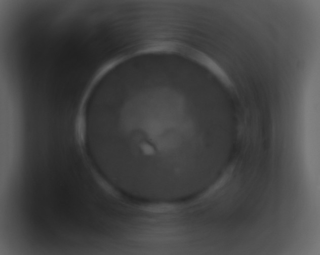 X0000101431079200807071337