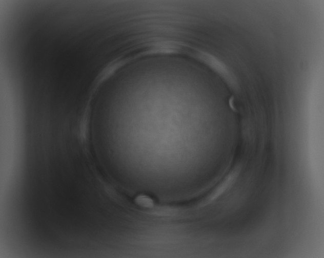 X0000101431081200807071336