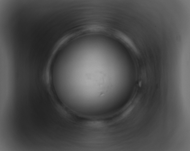X0000101431082200807071336