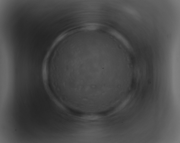 X0000101431083200807071336
