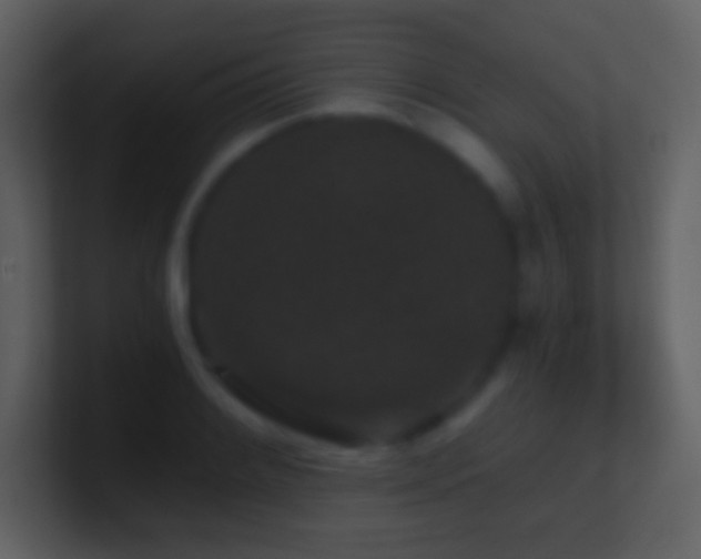 X0000101431084200807071336