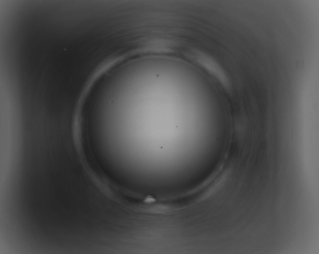 X0000101431085200807071336