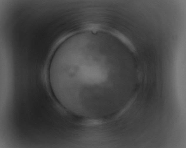 X0000101431086200807071336