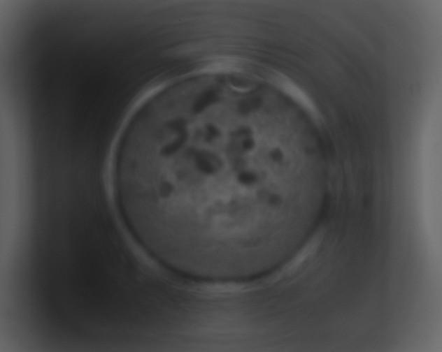 X0000101431087200807071336