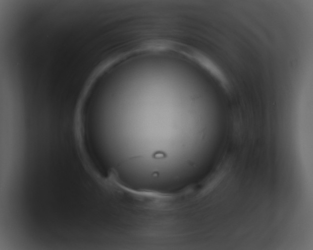 X0000101431088200807071336