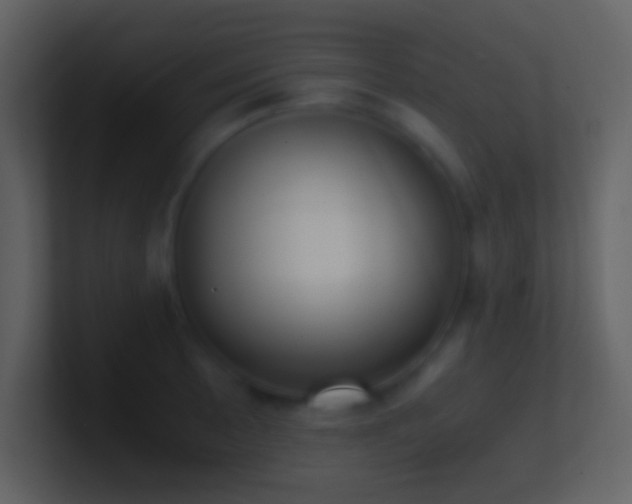 X0000101431089200807071336