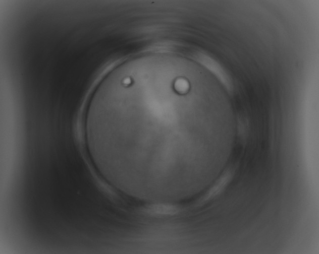 X0000101431090200807071336