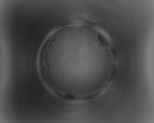 X0000101431091200807071336
