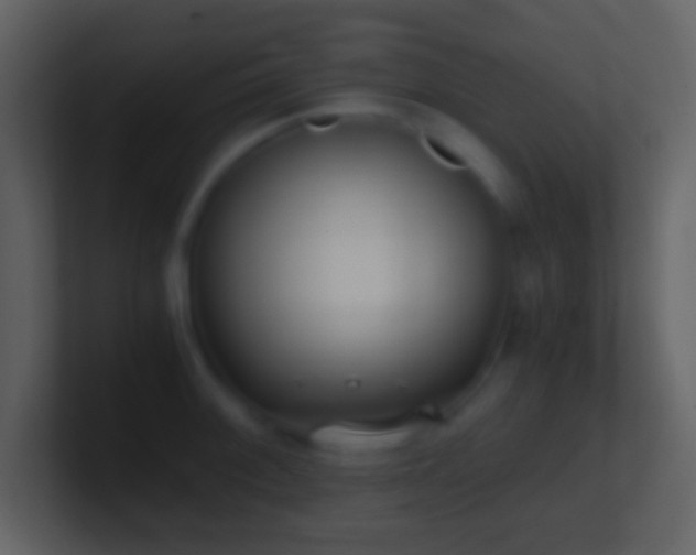 X0000101431092200807071336