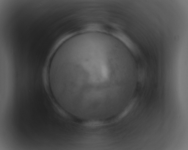 X0000101431094200807071336