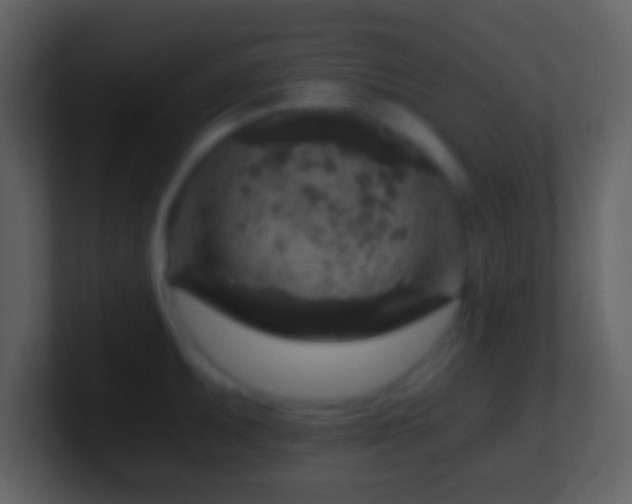 X0000101431095200807071336