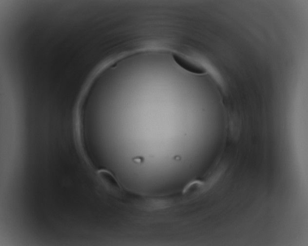 X0000101431096200807071336