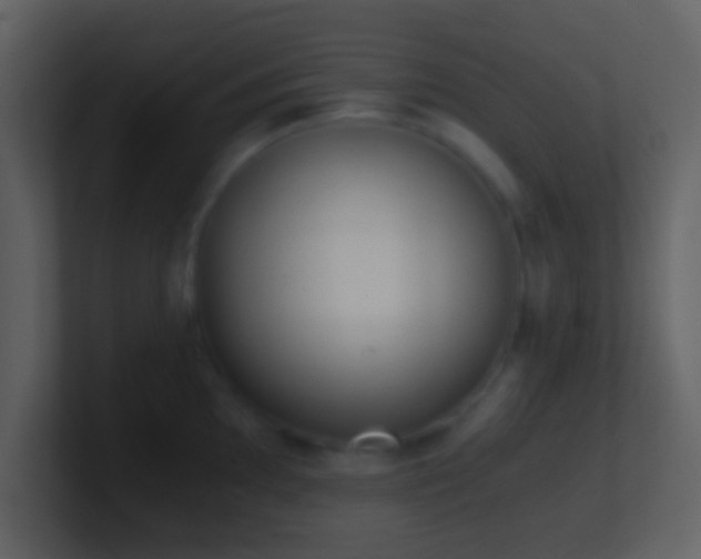 X0000101431097200807071336