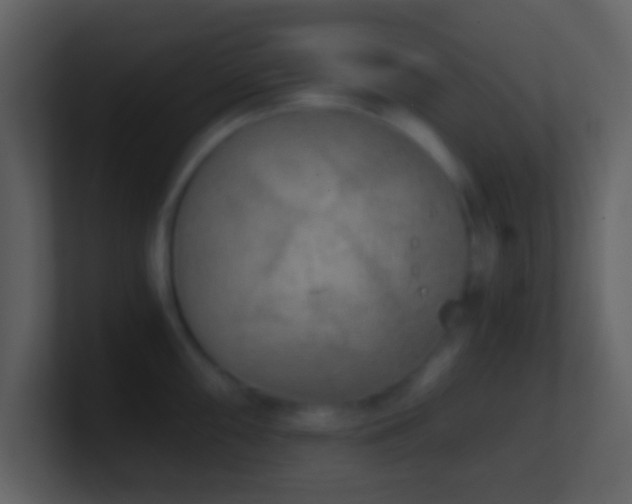 X0000101431098200807071336