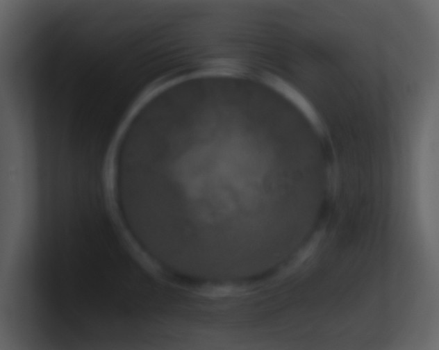 X0000101431099200807071336