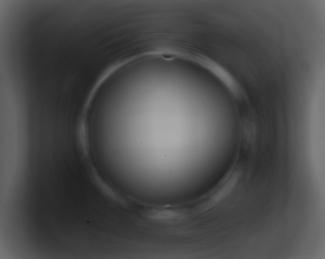 X0000101431100200807071336