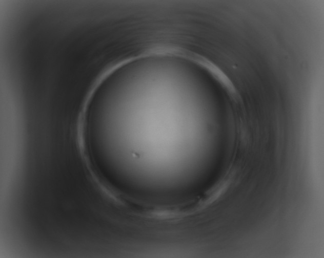 X0000101431102200807071336