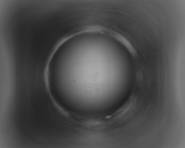X0000101431103200807071336