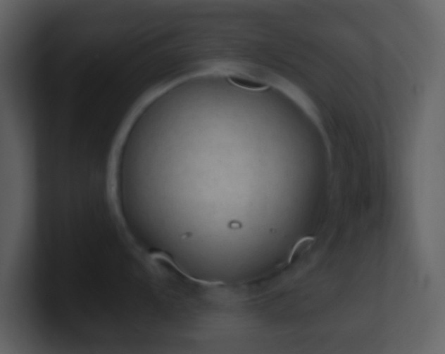 X0000101431104200807071336