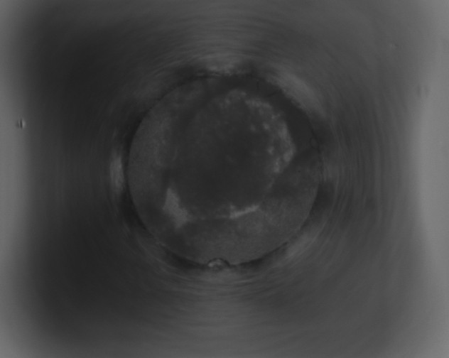 X0000101431106200807071336