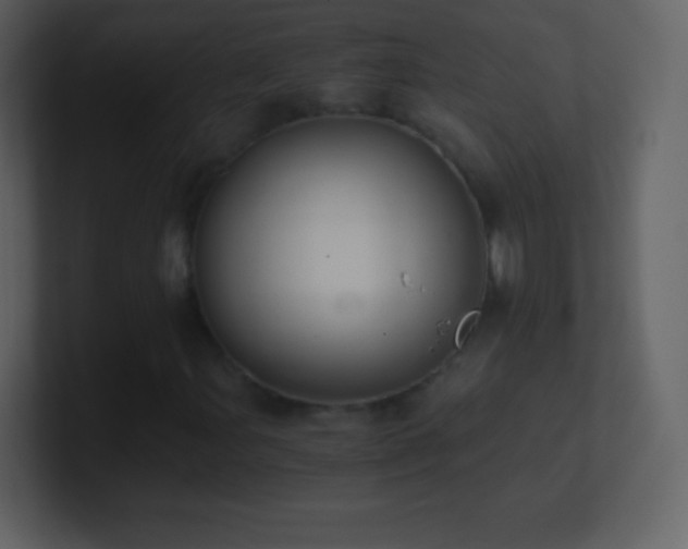 X0000101431107200807071336