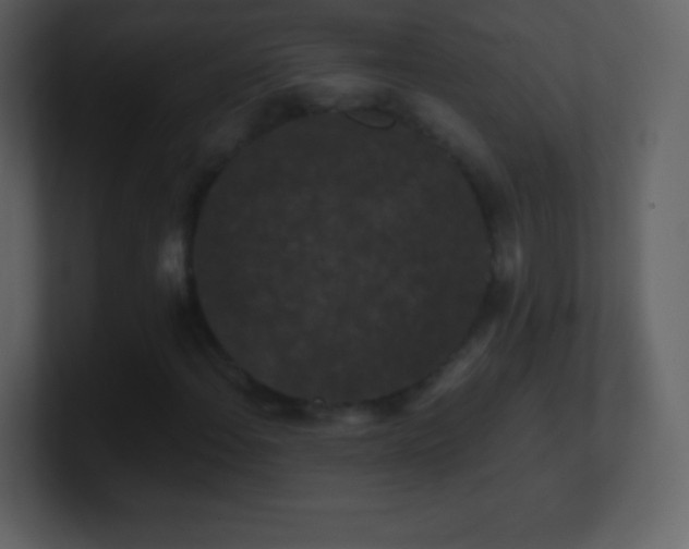 X0000101431108200807071336